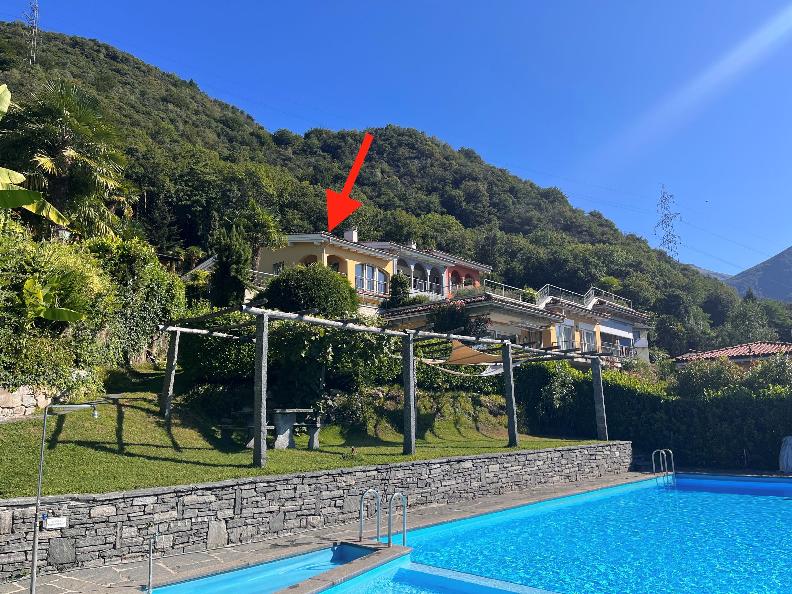 Image 0 - La Camelina